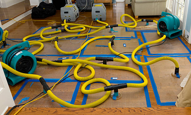 Professional Burst Pipe Water Damage technician working in Little Falls, MN